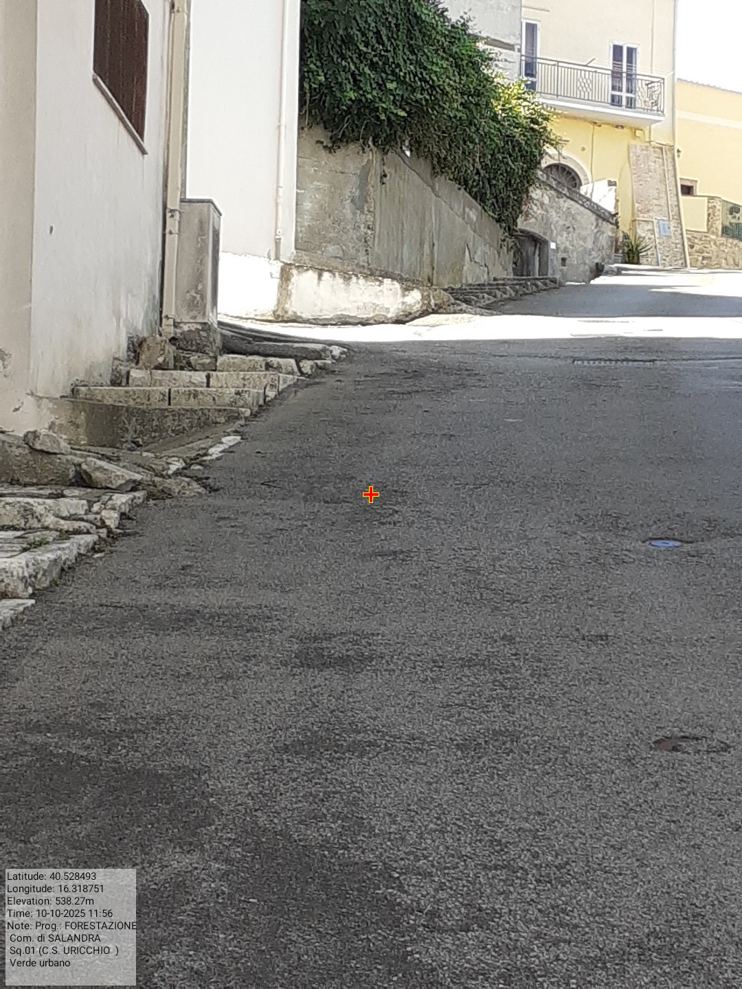 Galleria Fotografica Immagine