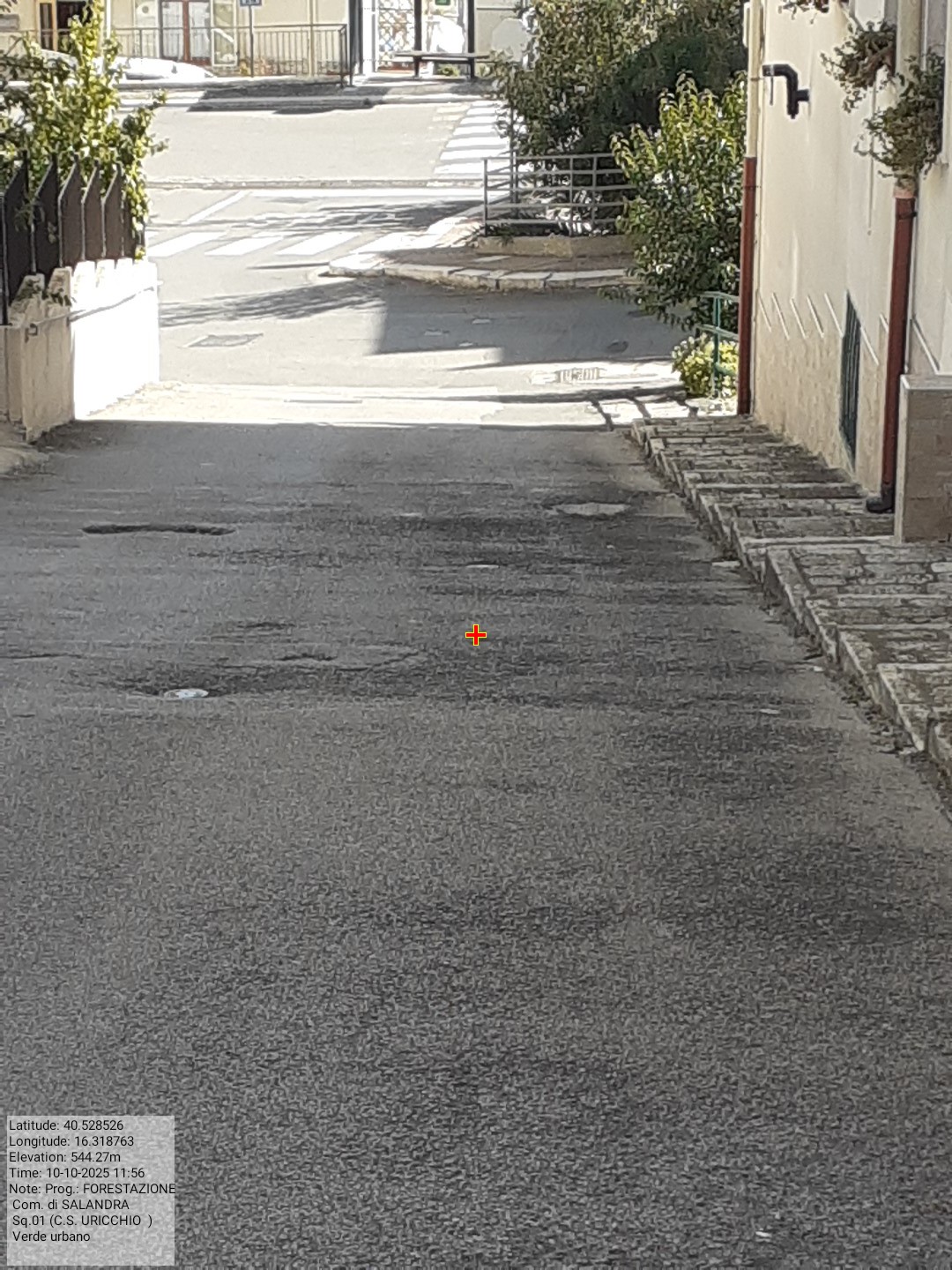 Galleria Fotografica Immagine