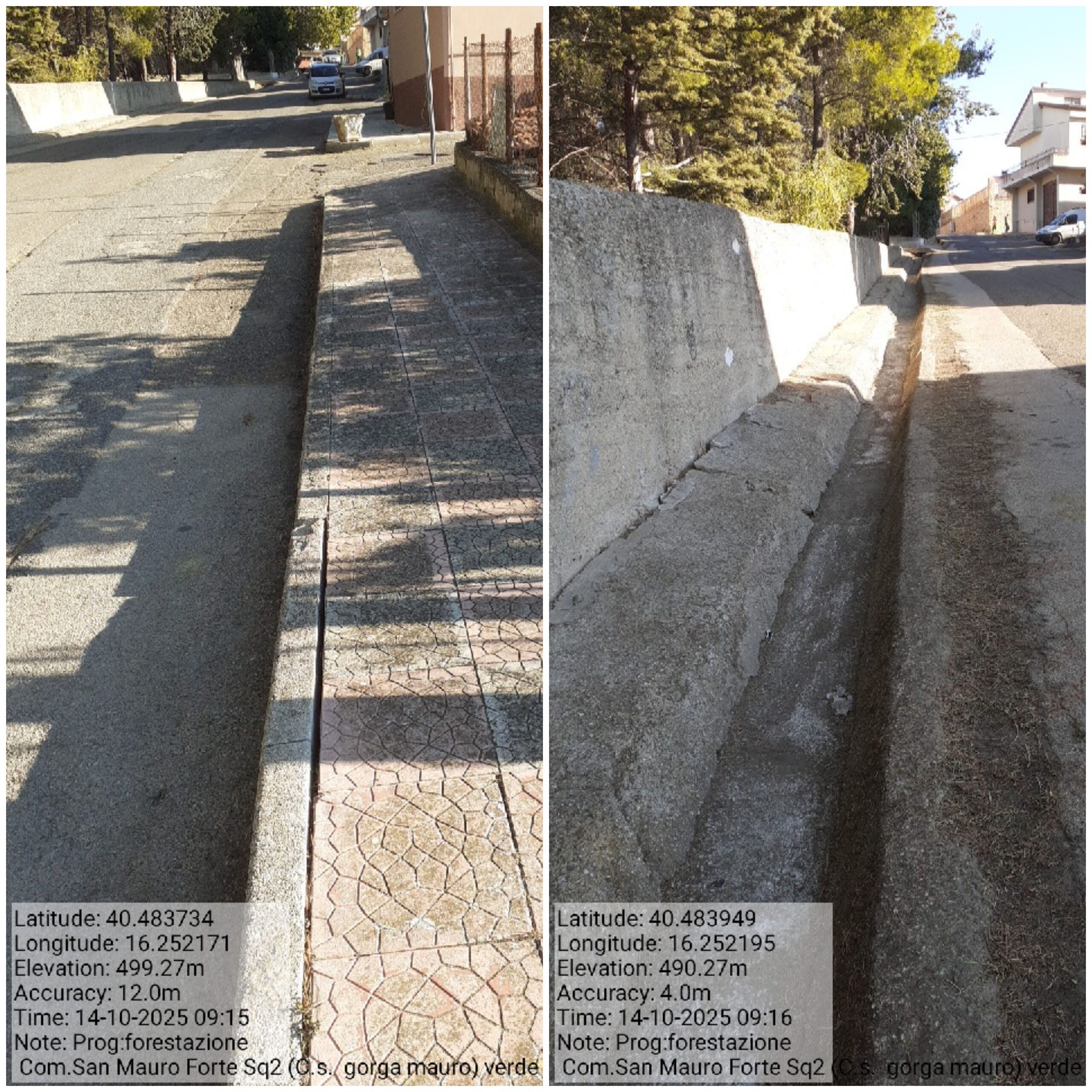 Galleria Fotografica Immagine