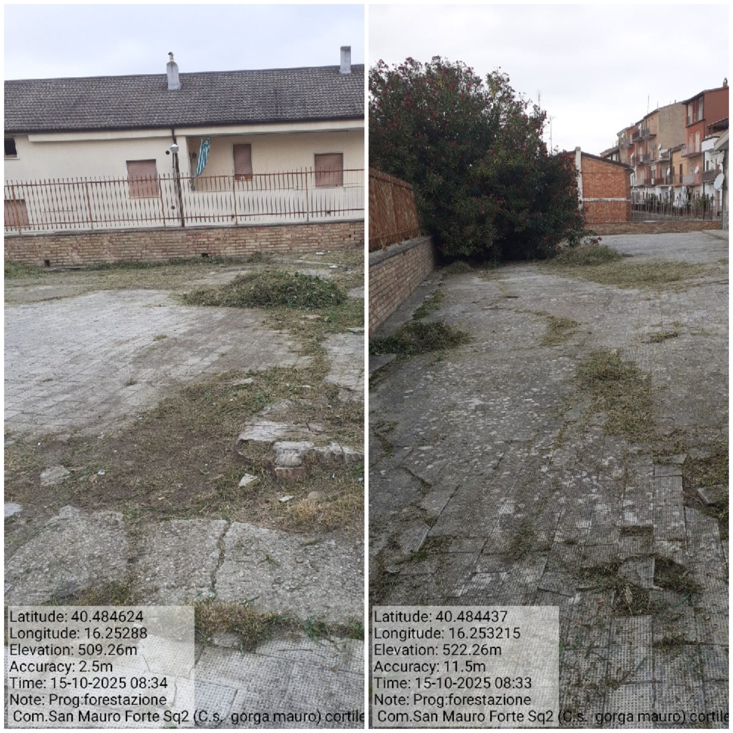 Galleria Fotografica Immagine