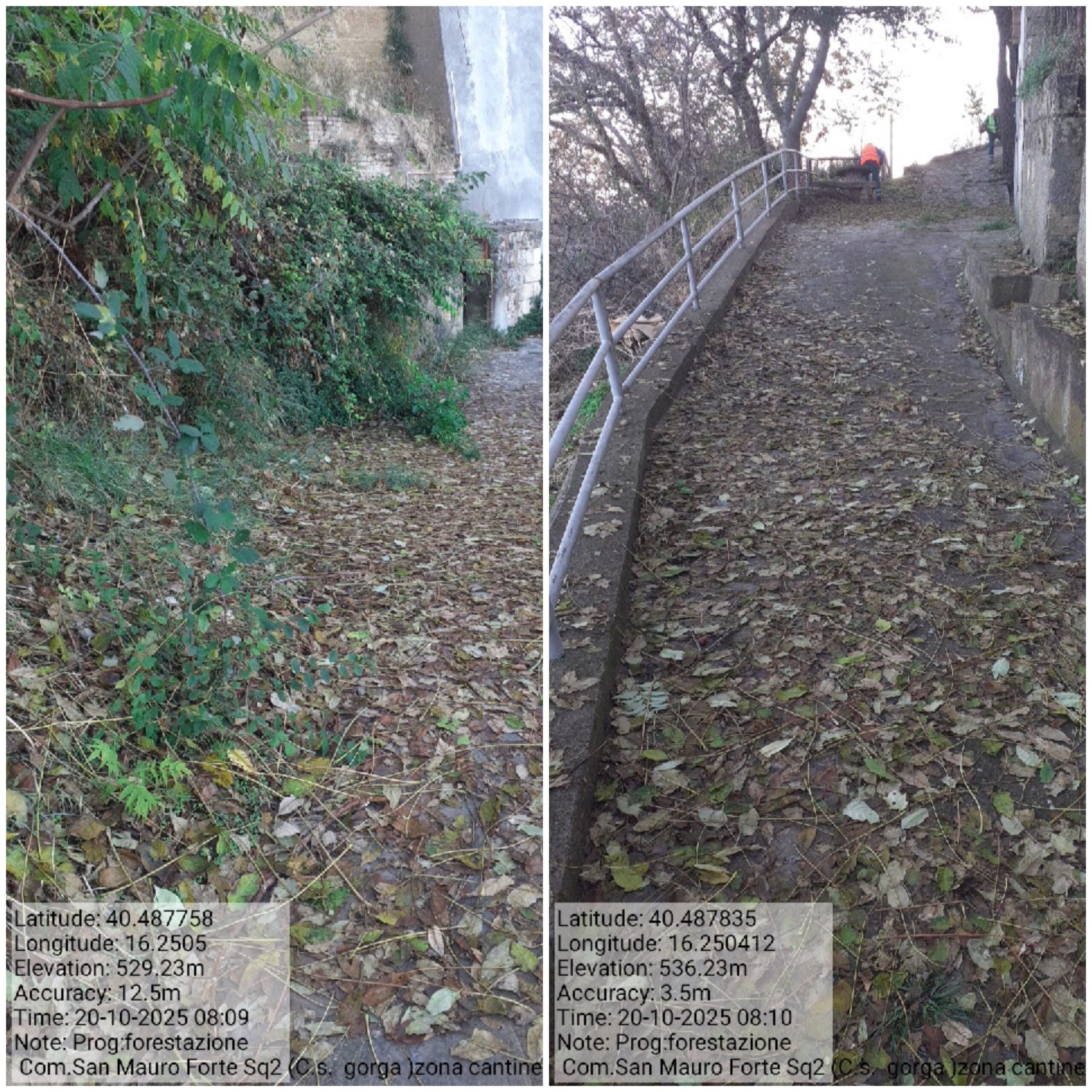 Galleria Fotografica Immagine