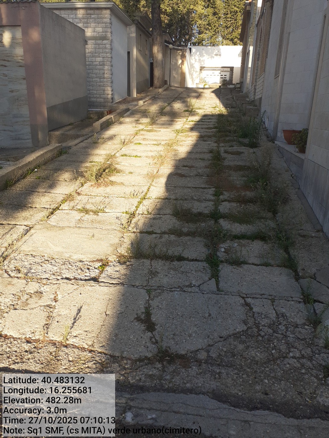 Galleria Fotografica Immagine