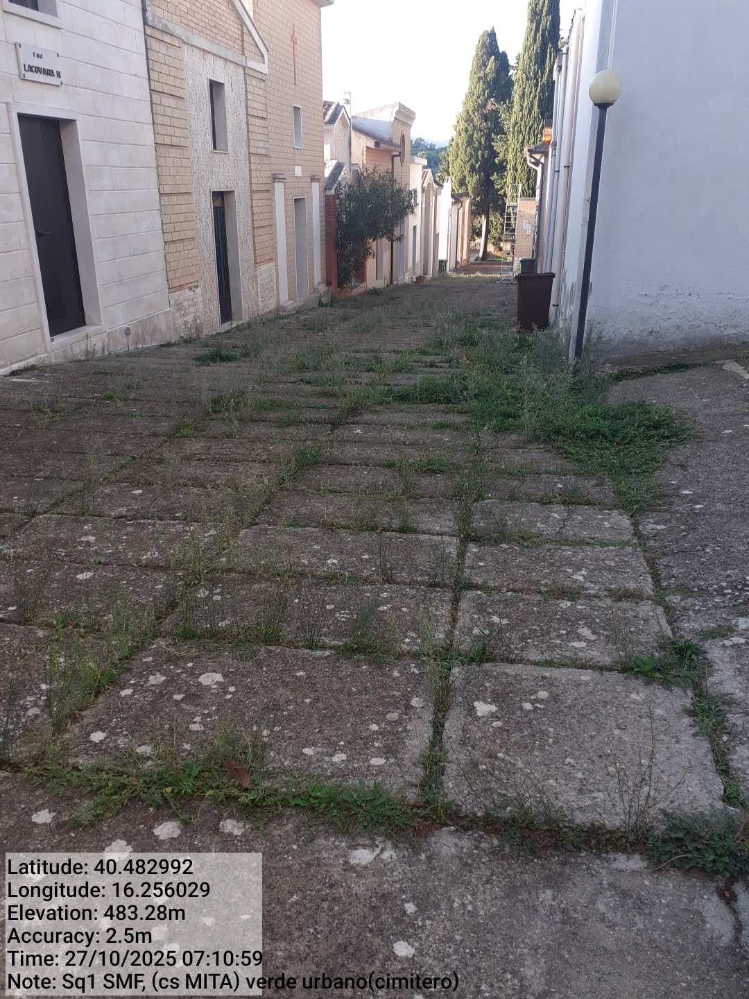 Galleria Fotografica Immagine