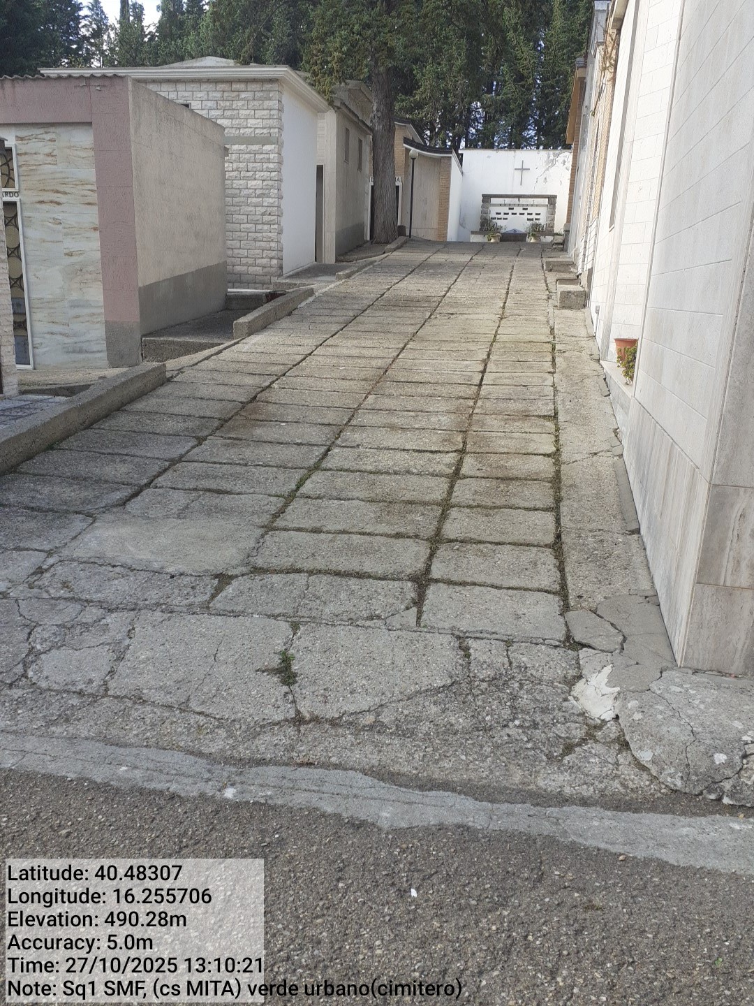 Galleria Fotografica Immagine