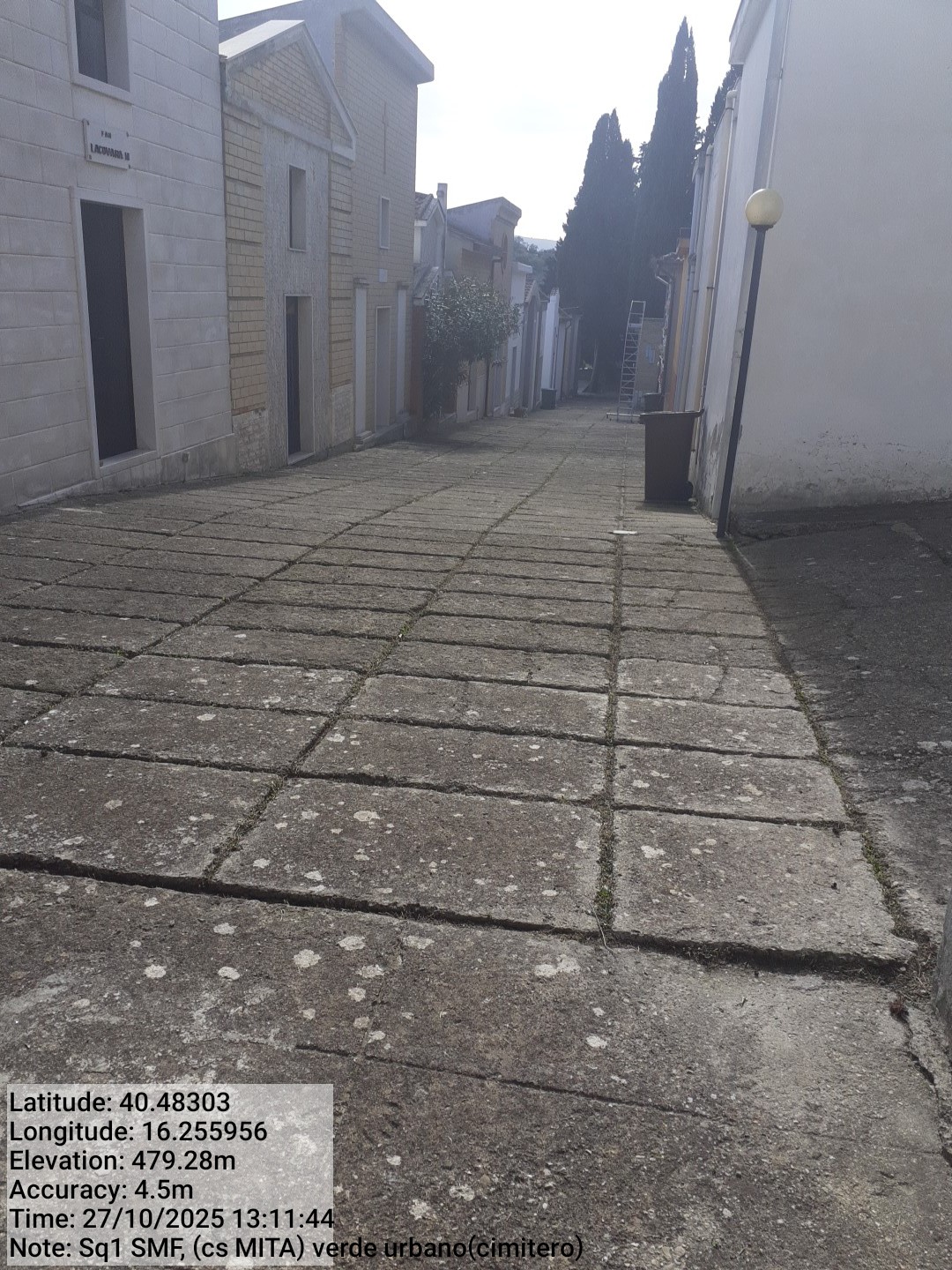 Galleria Fotografica Immagine