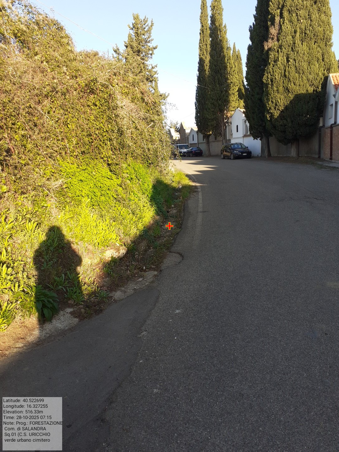 Galleria Fotografica Immagine