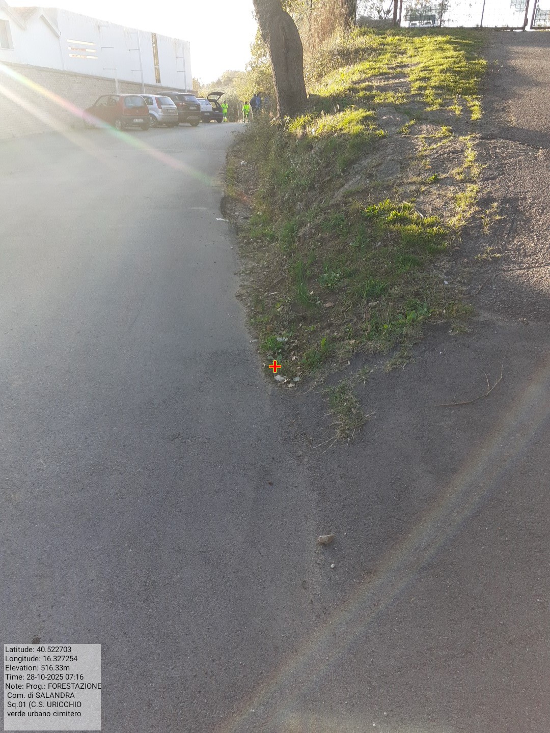 Galleria Fotografica Immagine