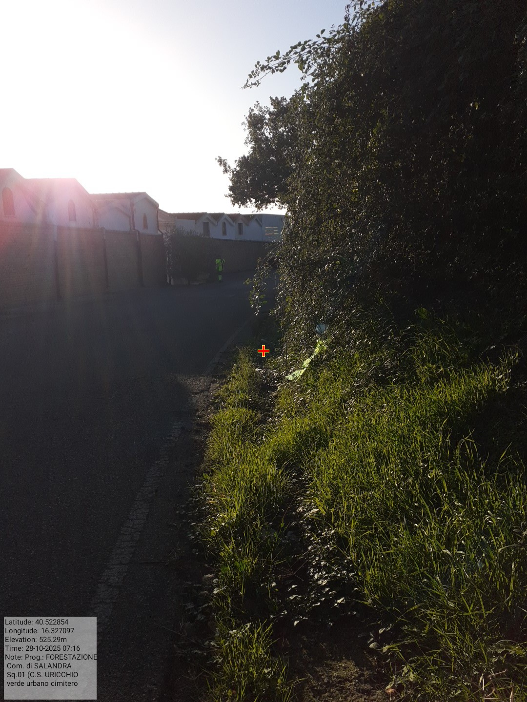 Galleria Fotografica Immagine