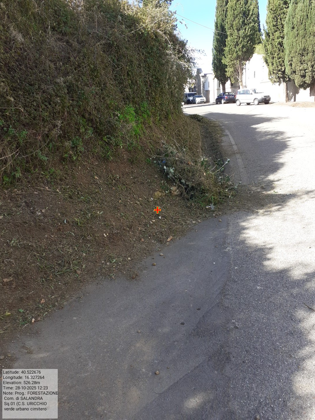 Galleria Fotografica Immagine