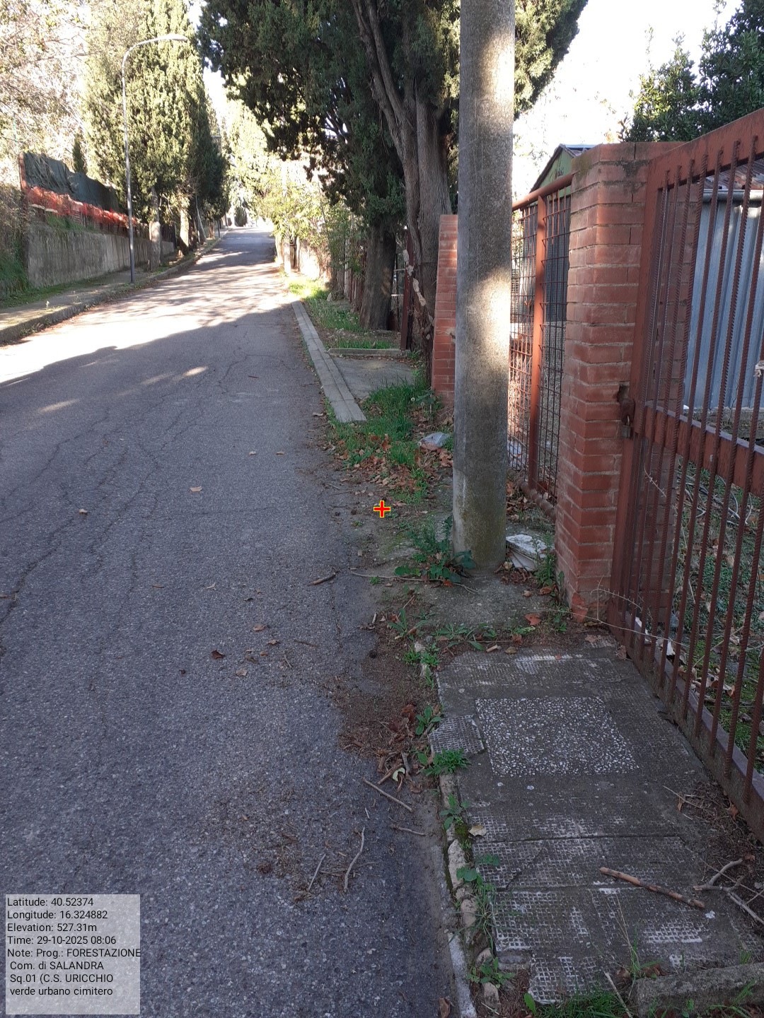 Galleria Fotografica Immagine