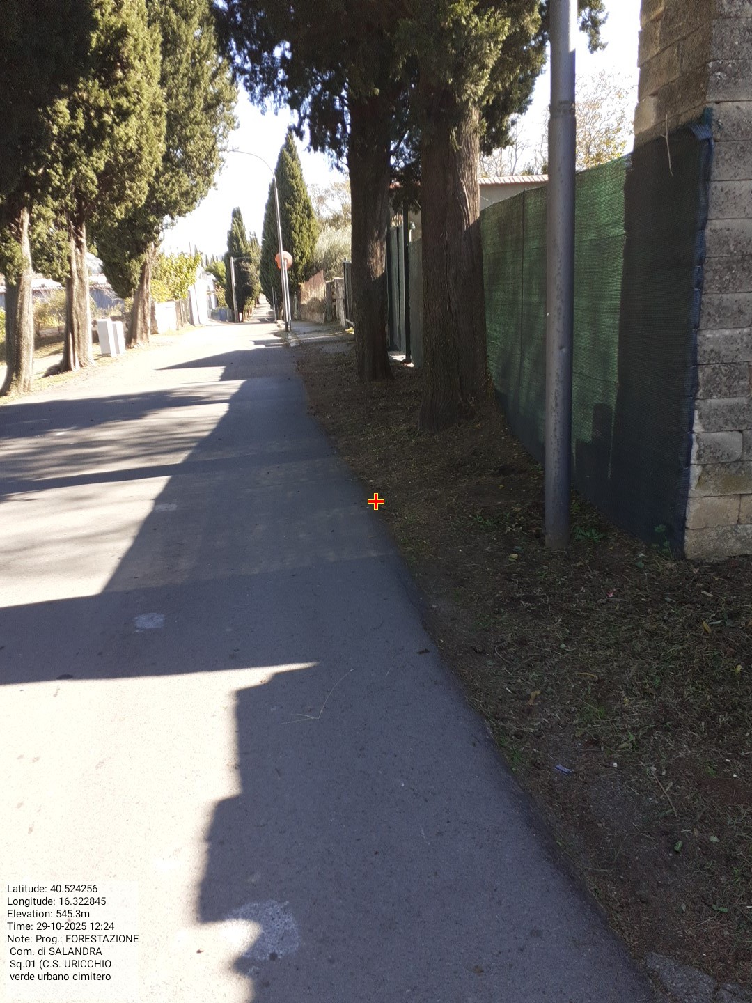 Galleria Fotografica Immagine