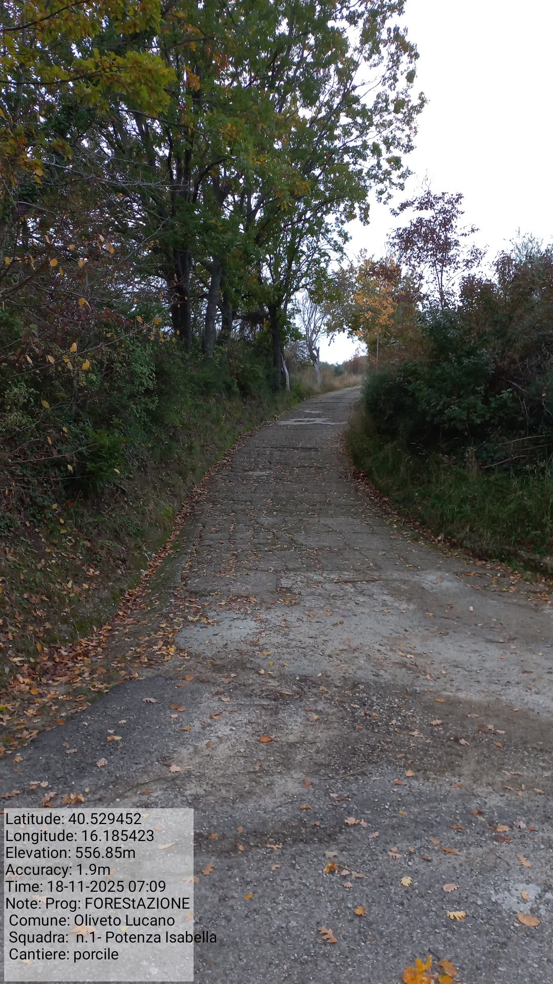 Galleria Fotografica Immagine