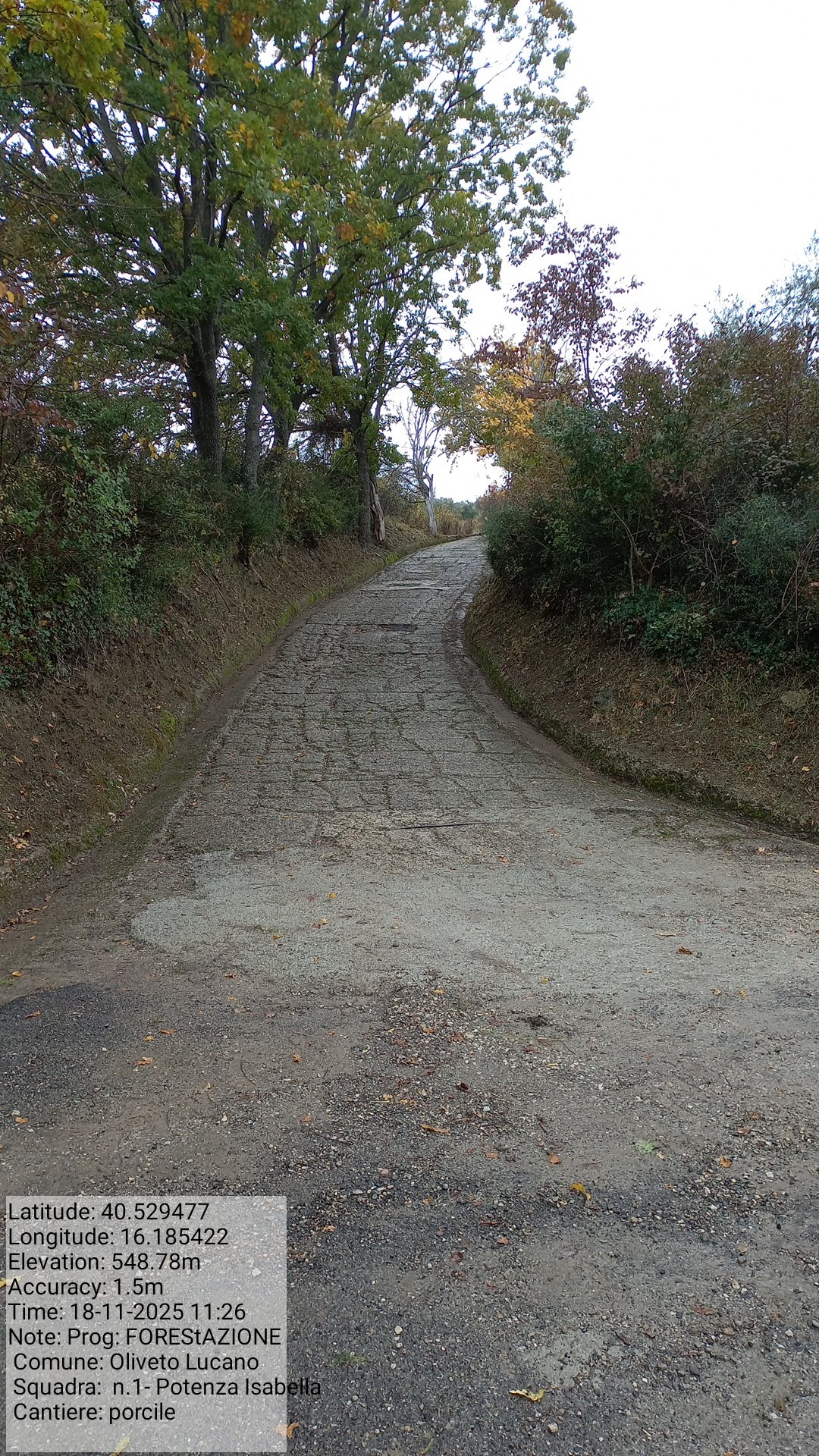 Galleria Fotografica Immagine