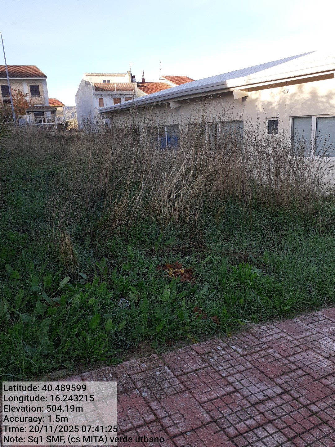 Galleria Fotografica Immagine