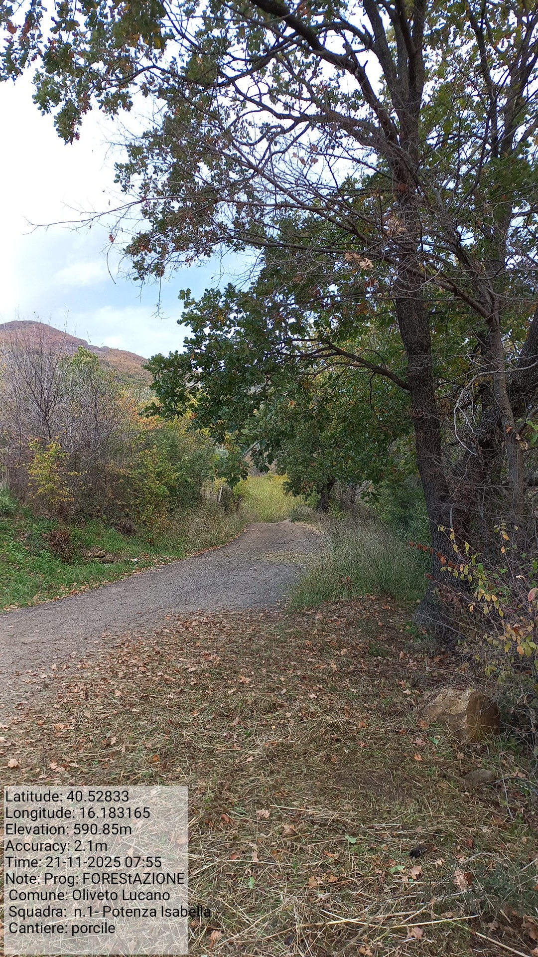 Galleria Fotografica Immagine