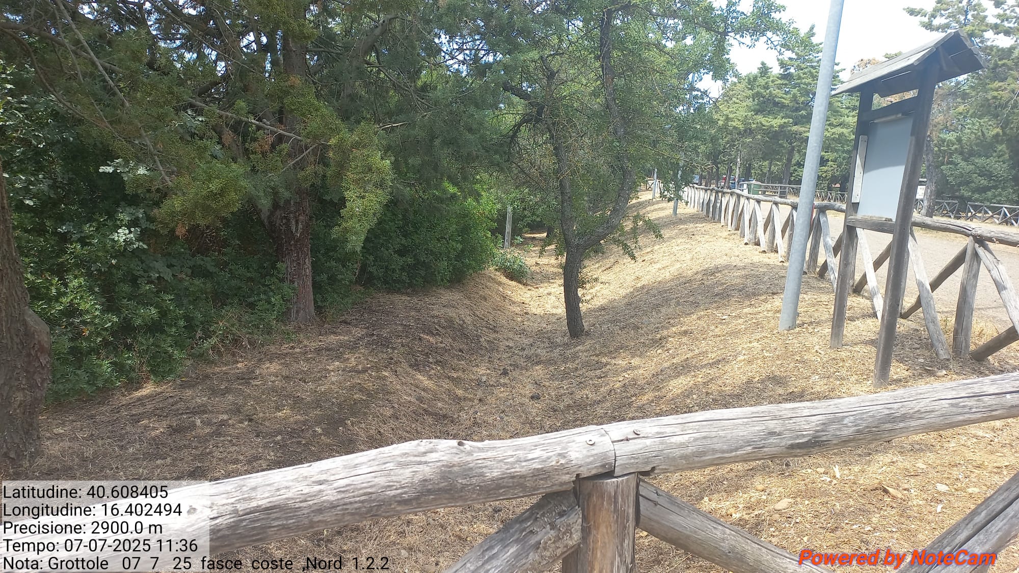 Galleria Fotografica Immagine