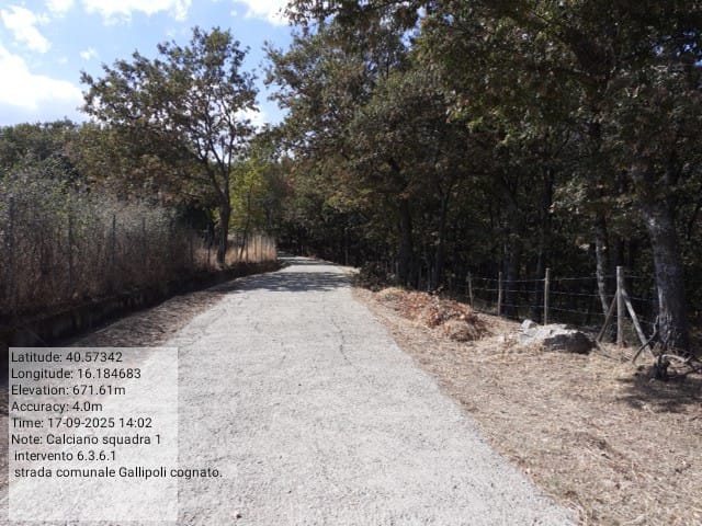 Galleria Fotografica Immagine