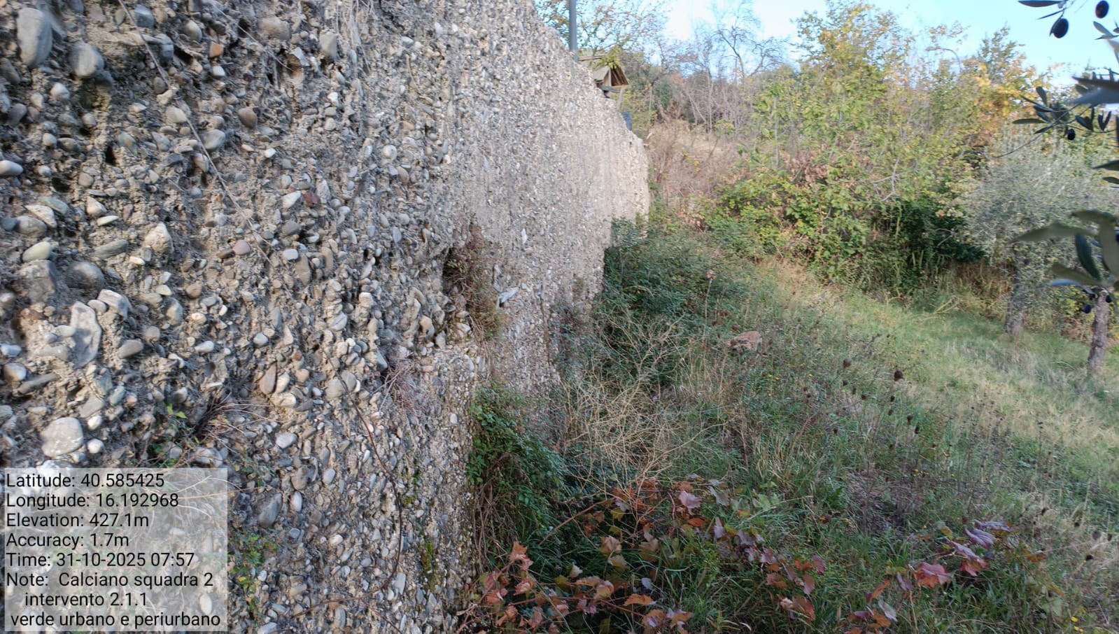 Galleria Fotografica Immagine