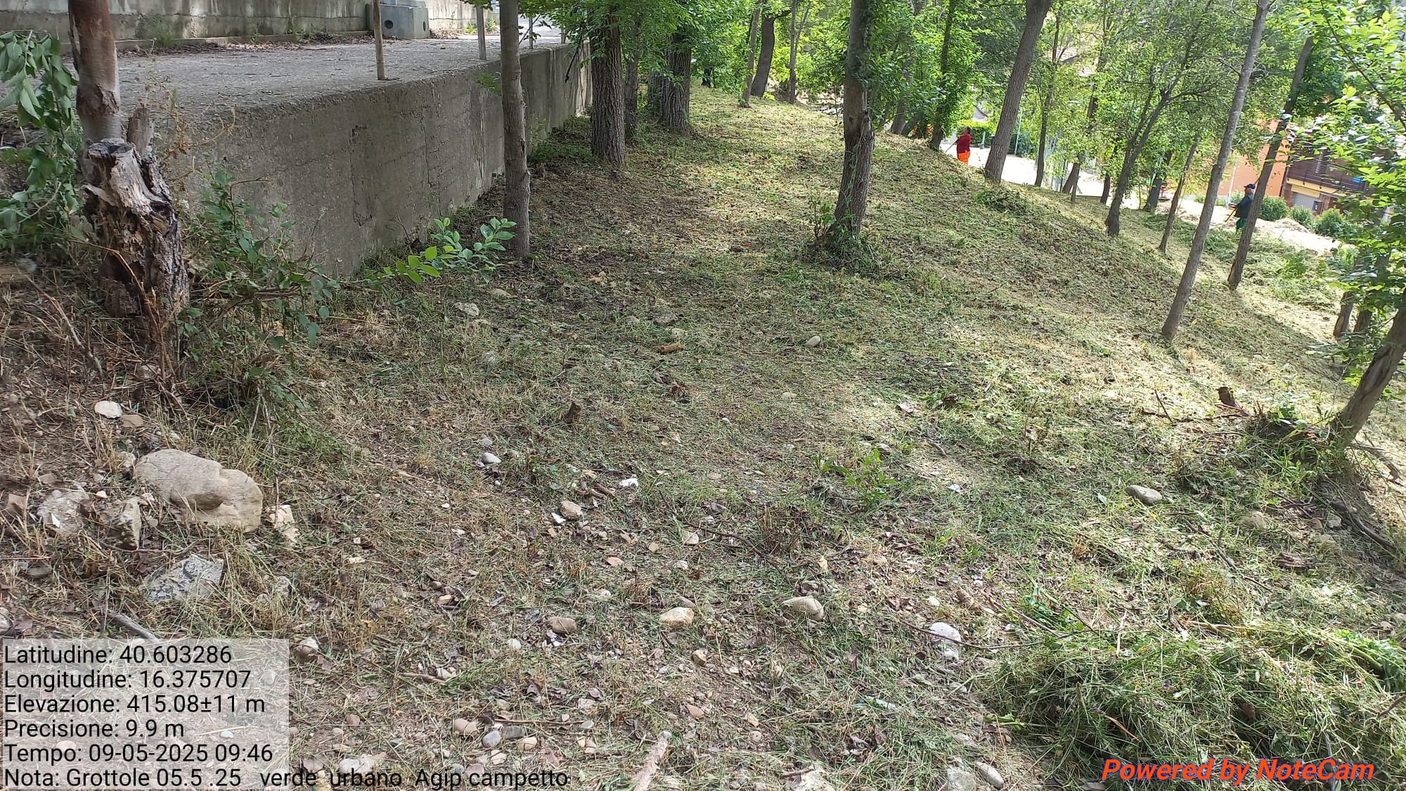 Galleria Fotografica Immagine