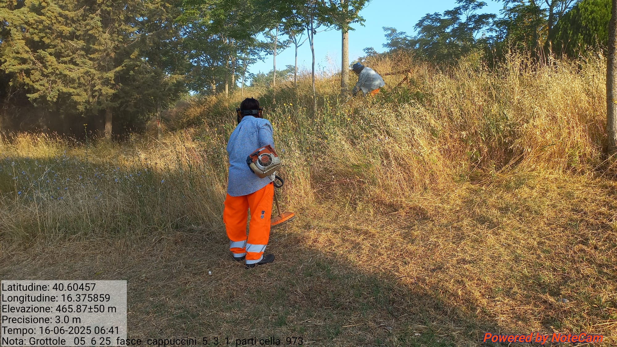 Galleria Fotografica Immagine
