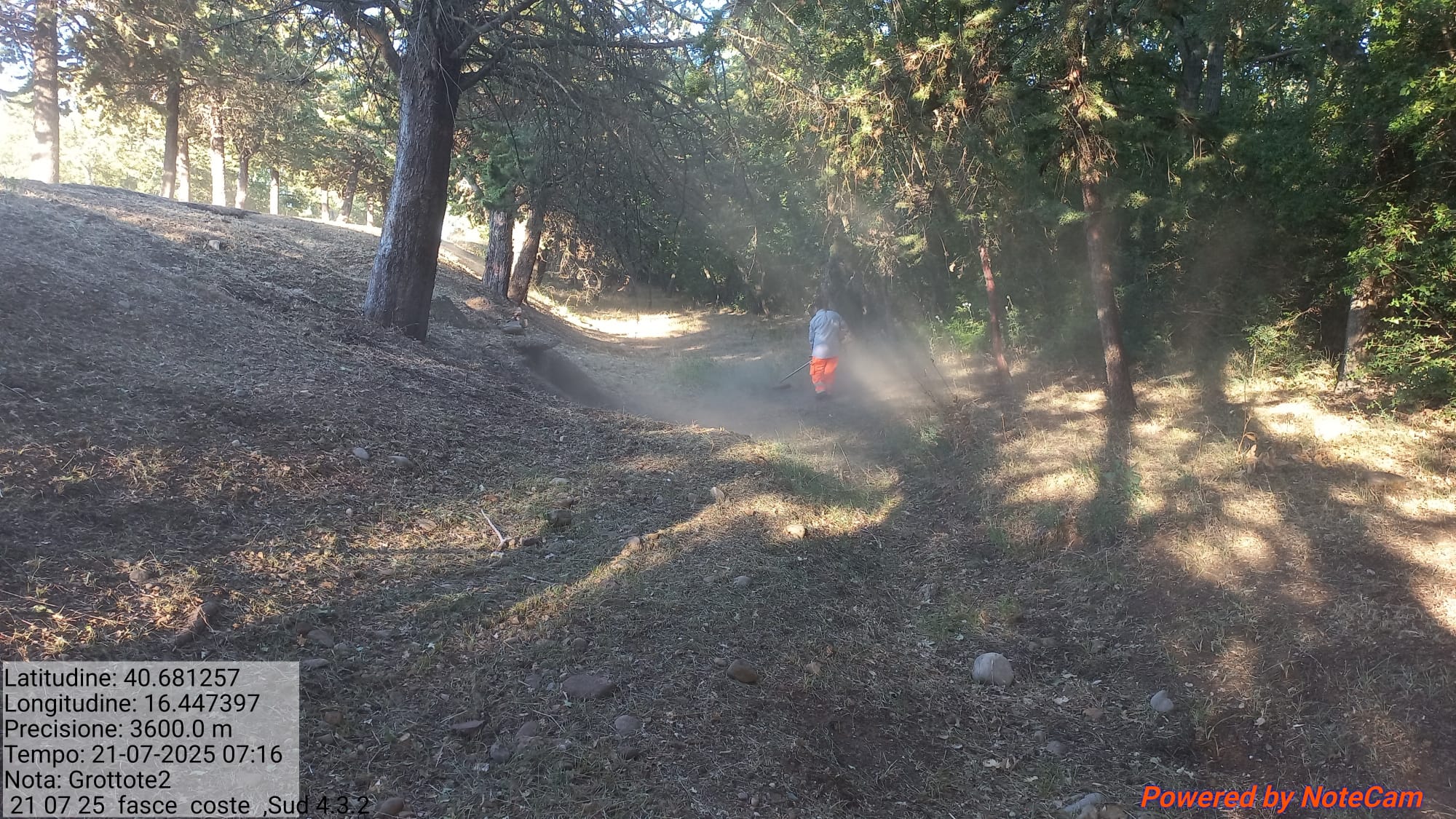 Galleria Fotografica Immagine