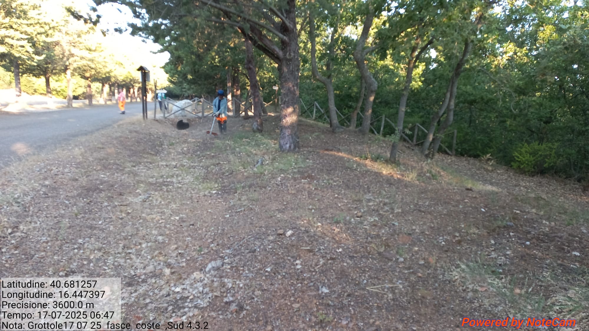 Galleria Fotografica Immagine