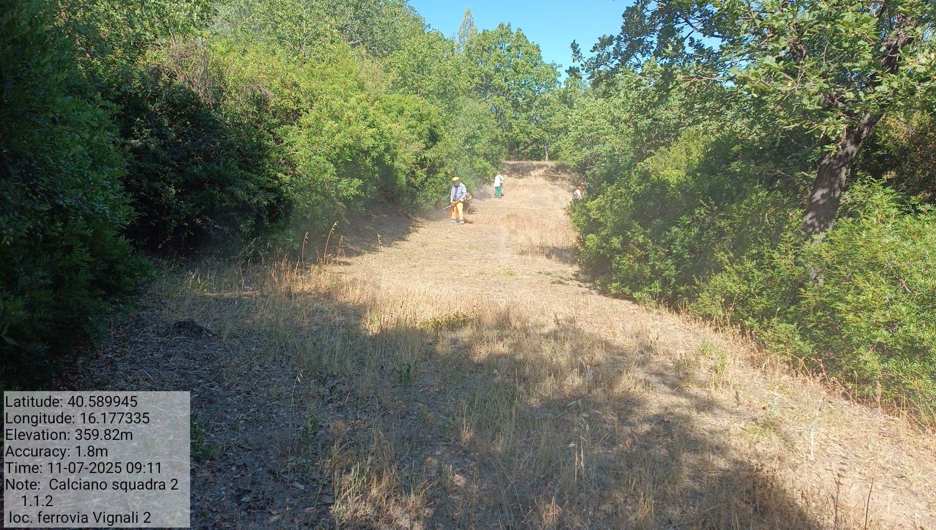 Galleria Fotografica Immagine