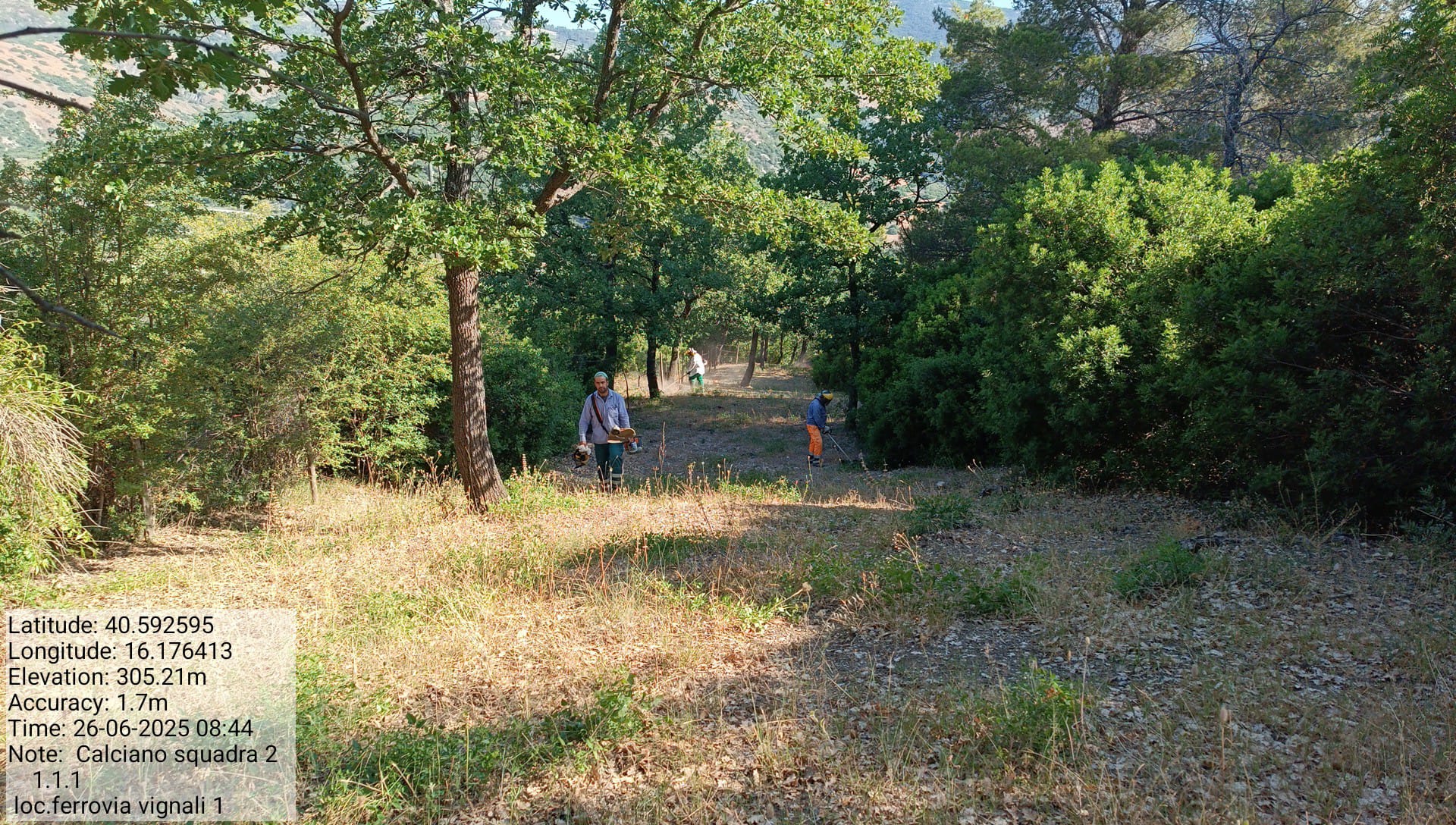 Galleria Fotografica Immagine