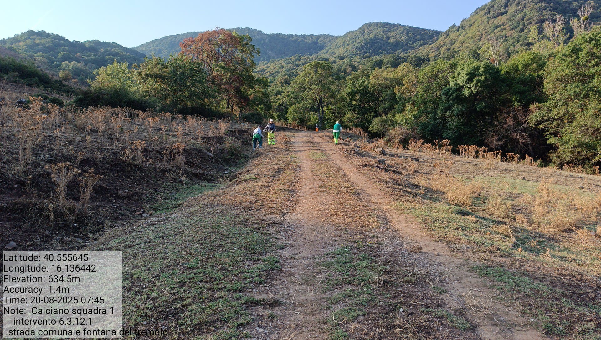Galleria Fotografica Immagine