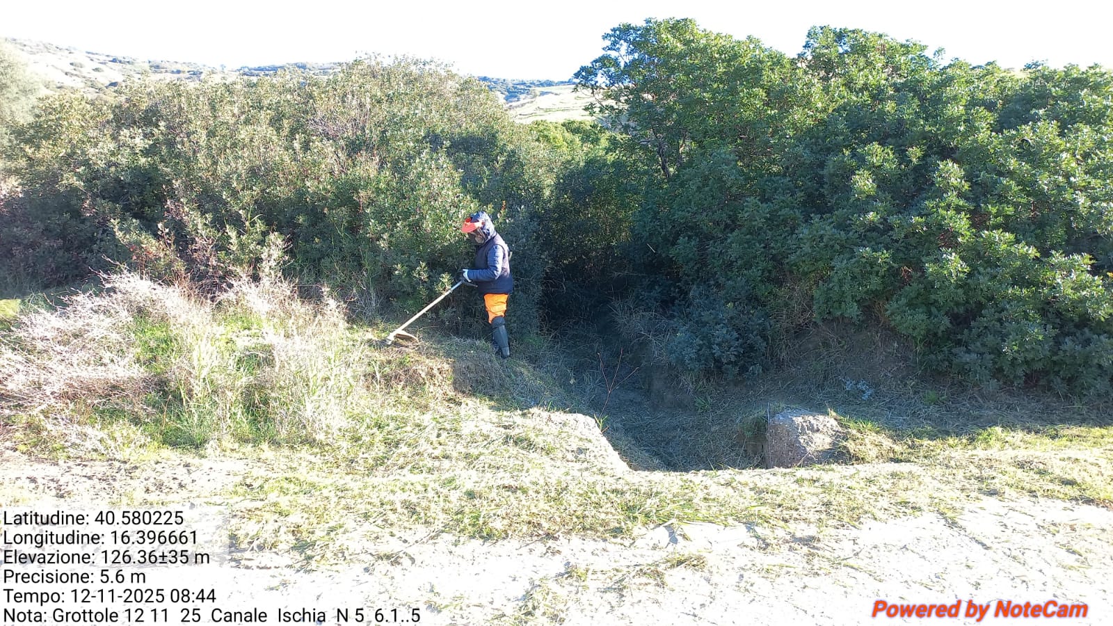 Galleria Fotografica Immagine