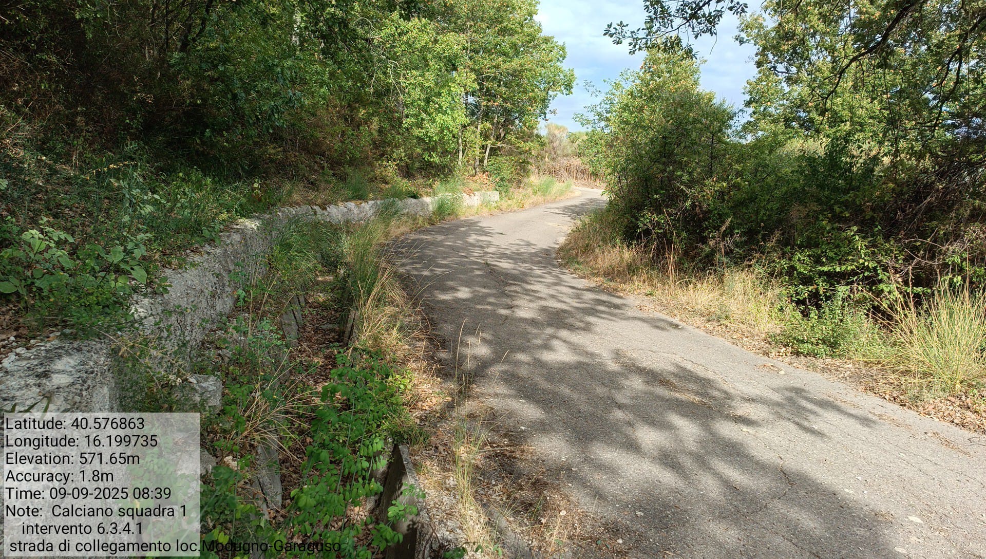 Galleria Fotografica Immagine