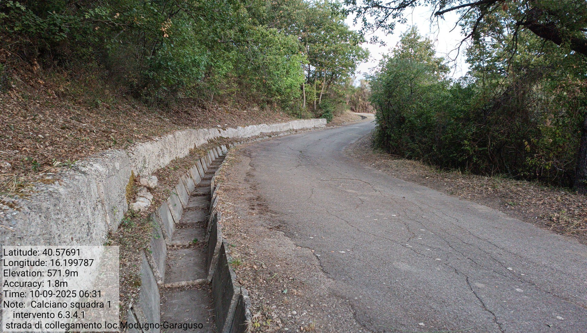 Galleria Fotografica Immagine