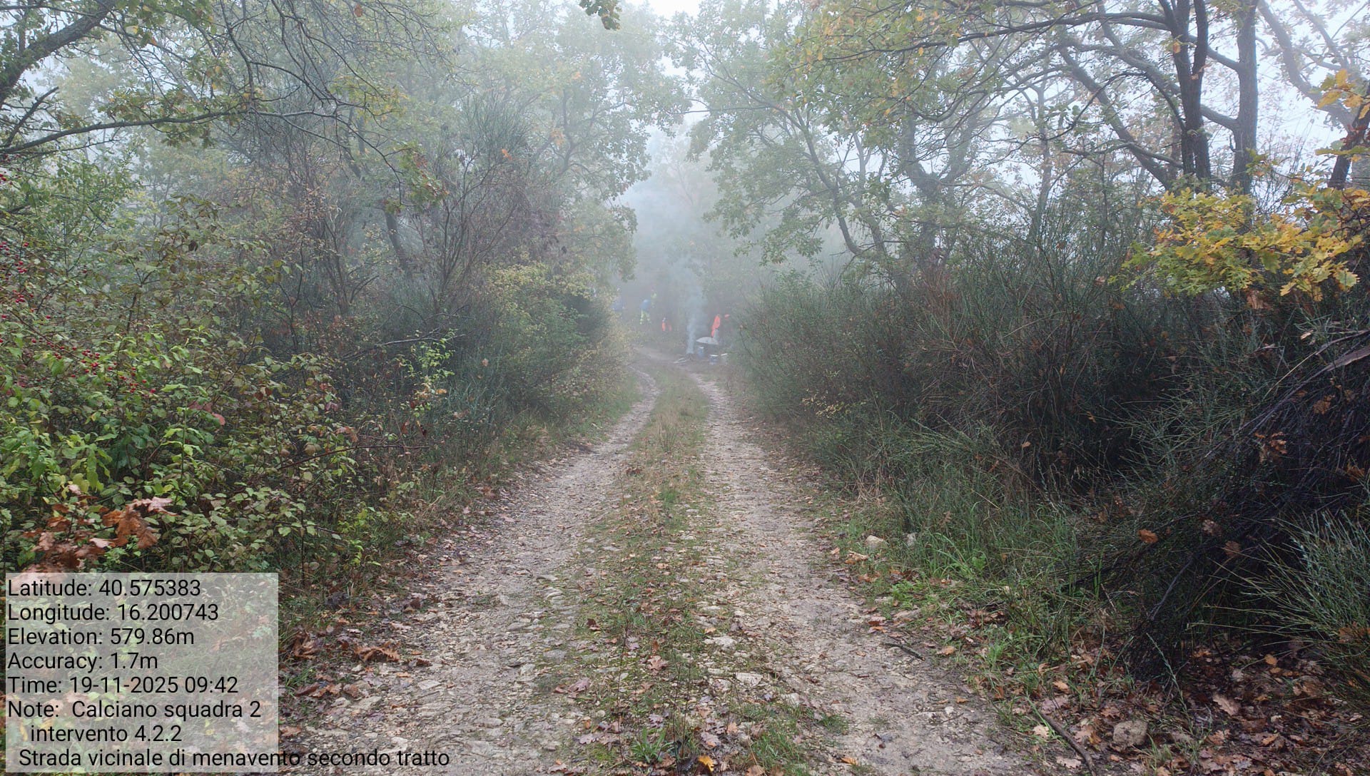 Galleria Fotografica Immagine