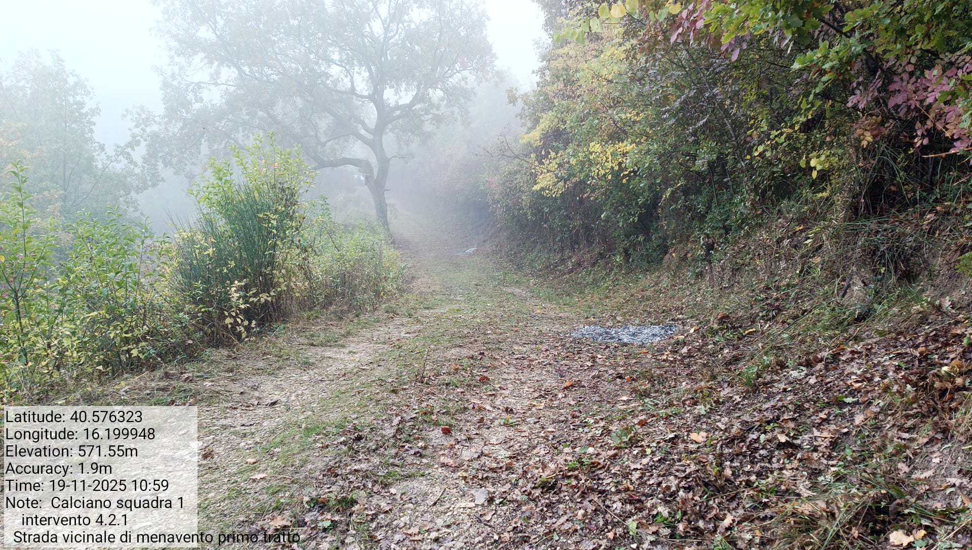 Galleria Fotografica Immagine