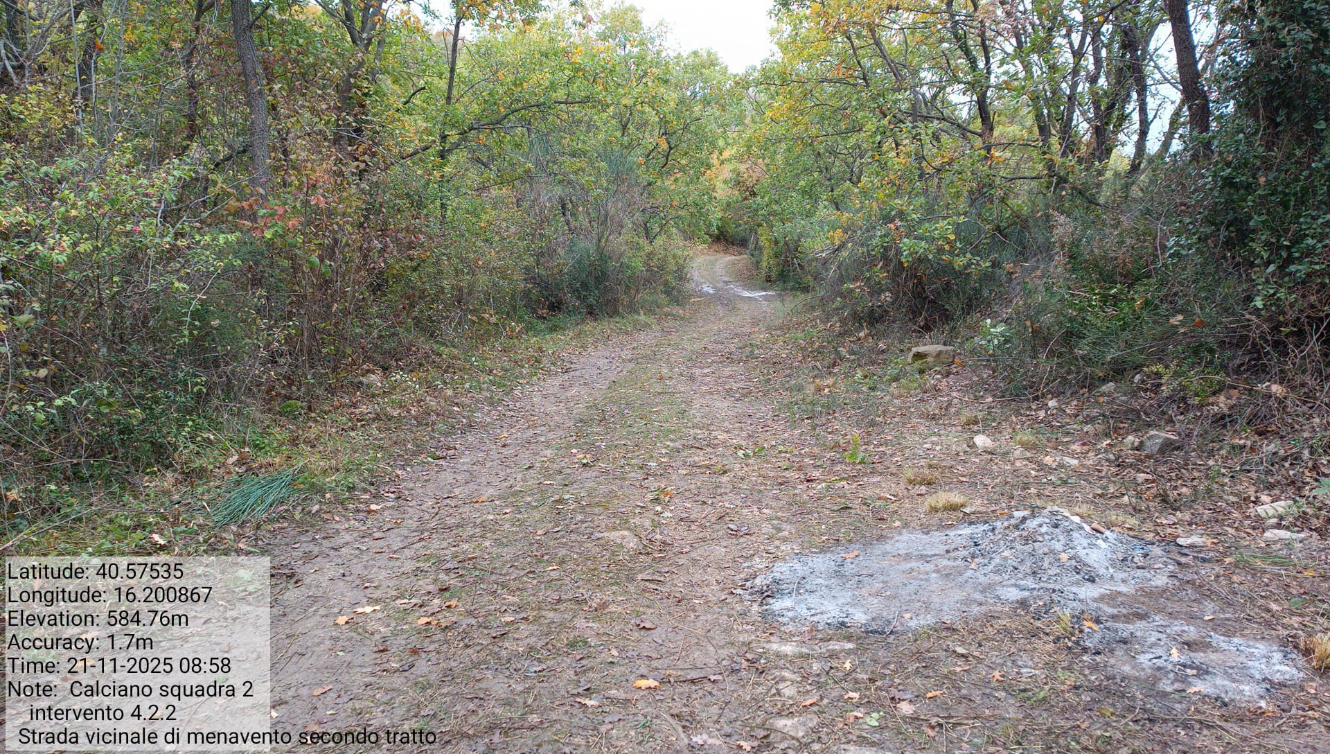 Galleria Fotografica Immagine