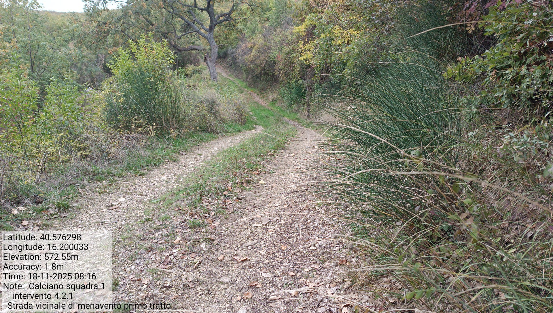 Galleria Fotografica Immagine