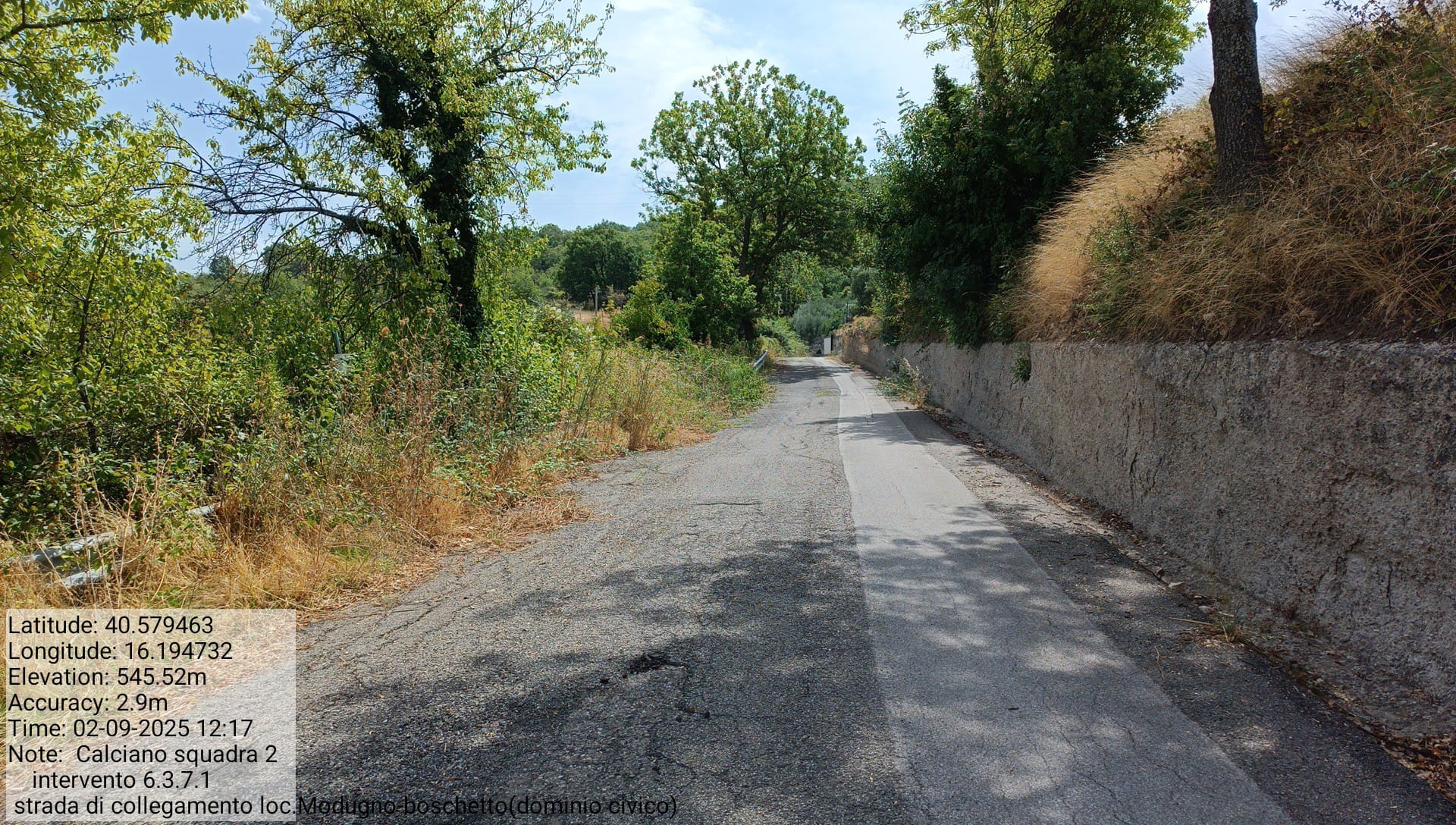 Galleria Fotografica Immagine