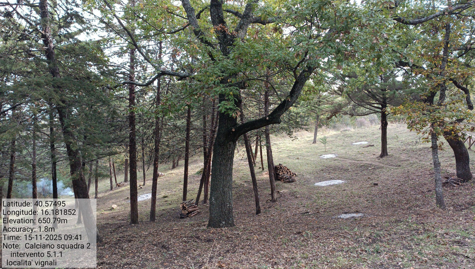 Galleria Fotografica Immagine