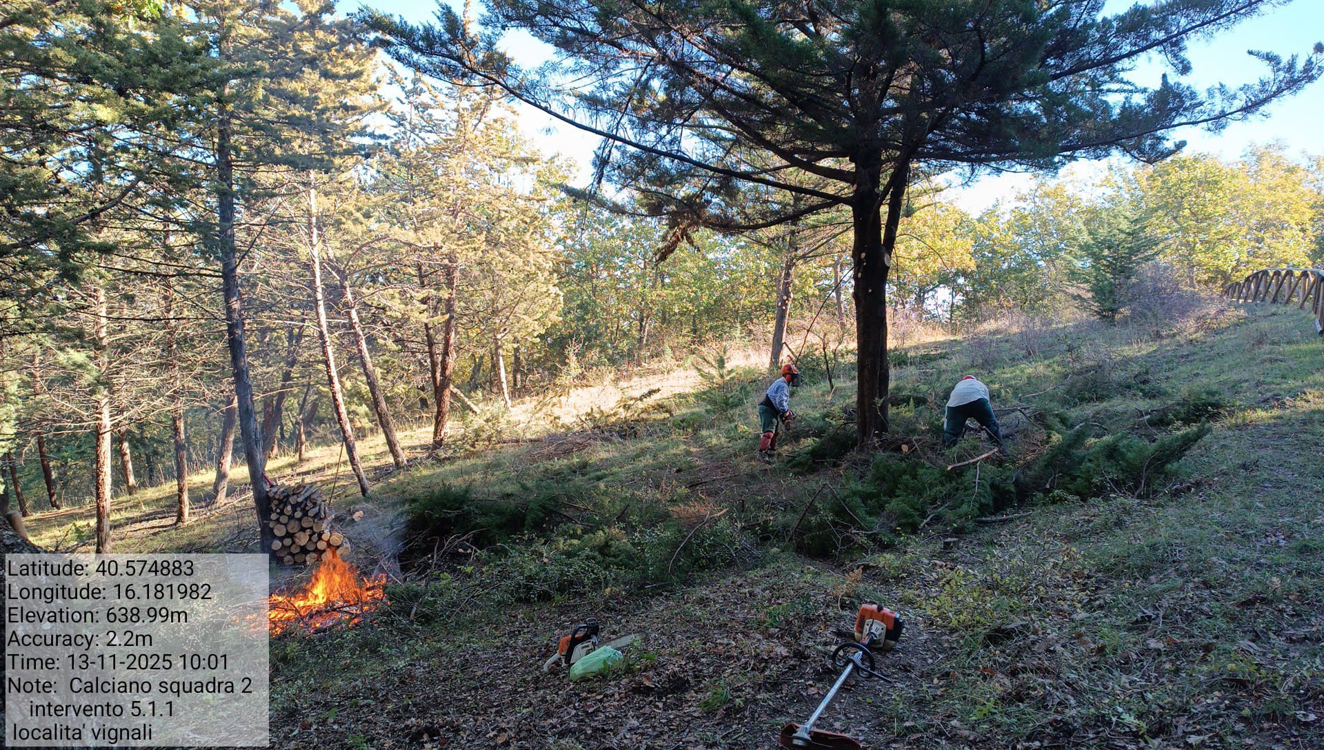 Galleria Fotografica Immagine