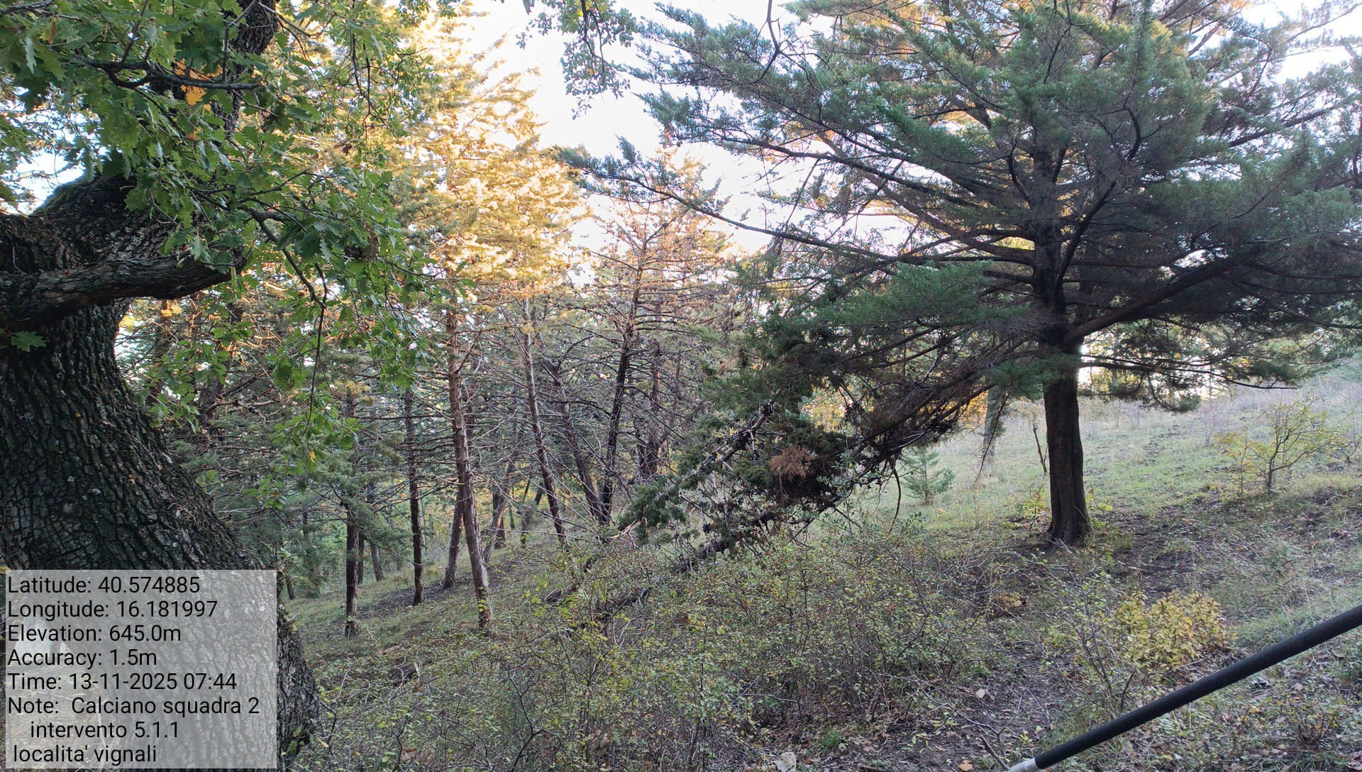 Galleria Fotografica Immagine