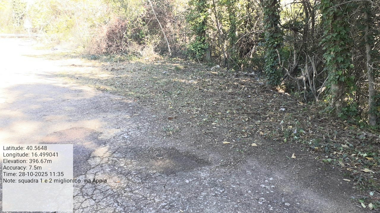 Galleria Fotografica Immagine