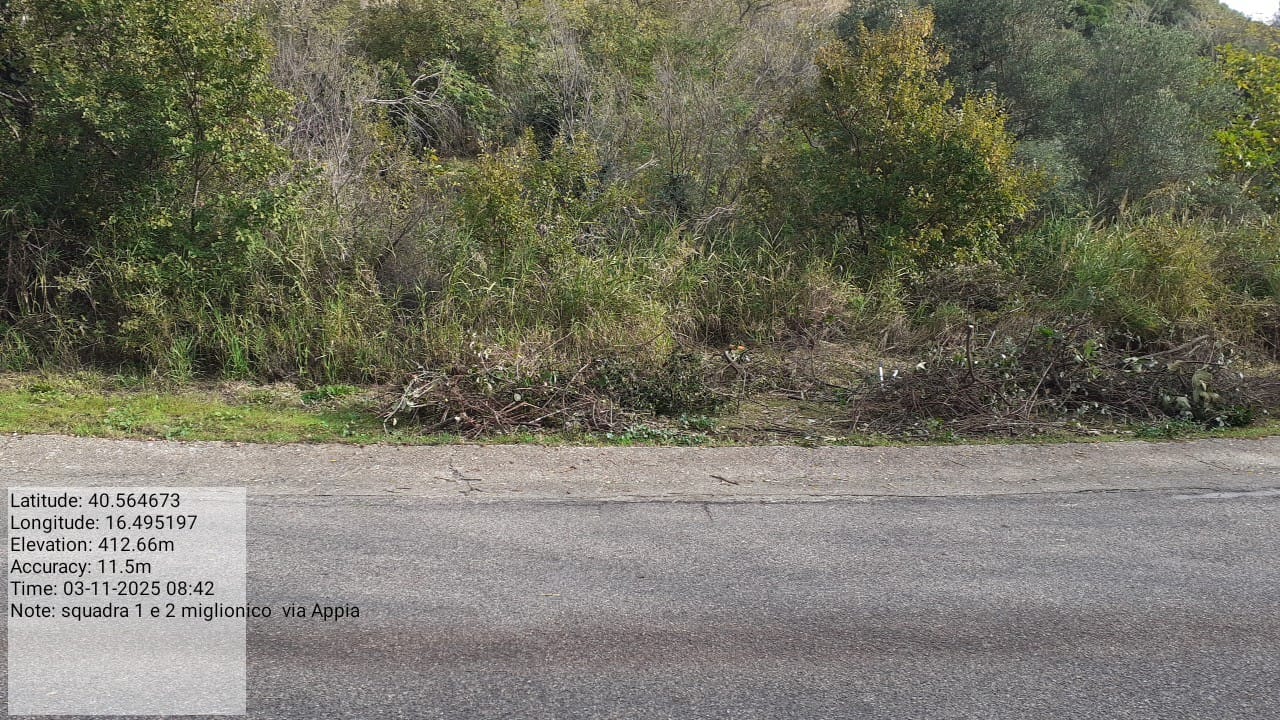 Galleria Fotografica Immagine