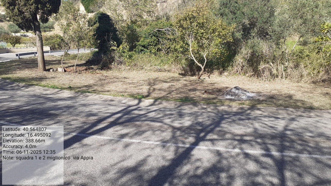 Galleria Fotografica Immagine