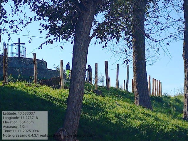 Galleria Fotografica Immagine