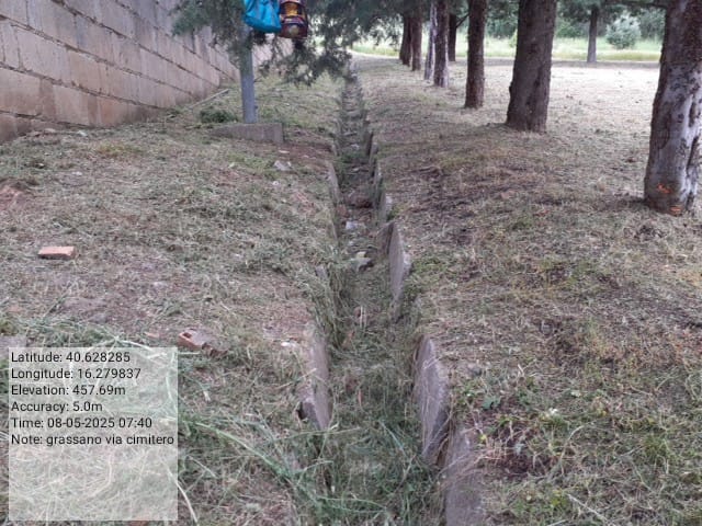 Galleria Fotografica Immagine