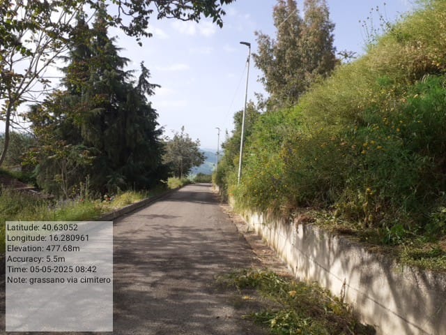 Galleria Fotografica Immagine