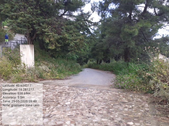 Galleria Fotografica Immagine