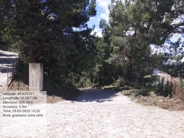 Galleria Fotografica Immagine