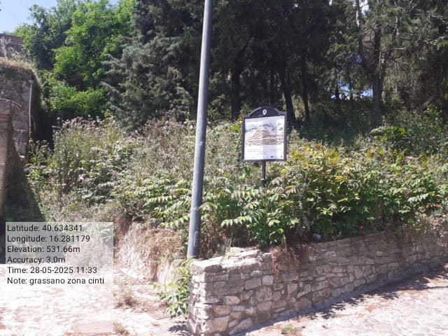 Galleria Fotografica Immagine