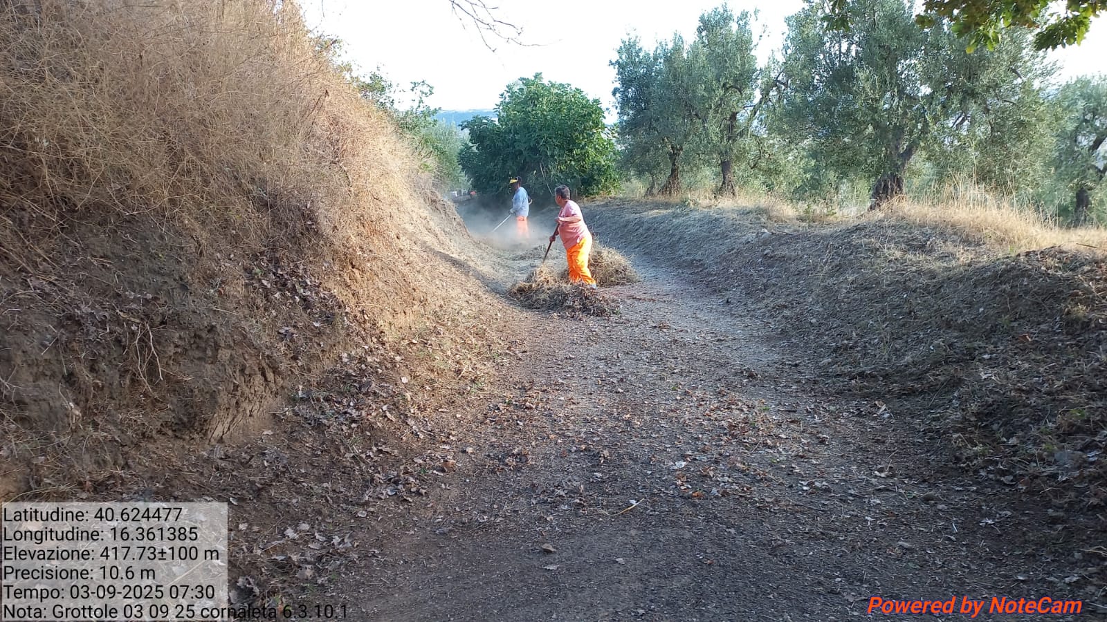 Galleria Fotografica Immagine